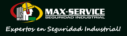 Max Service